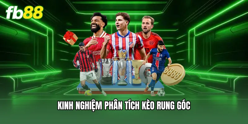Kèo Rung | Cách Soi Kèo Bóng Đá Hiệu Quả Cho Người Mới 2 Kinh nghiệm phân tích kèo rung góc