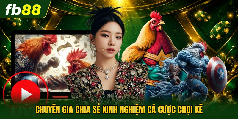 Chuyên gia chia sẻ kinh nghiệm cá cược chọi kê